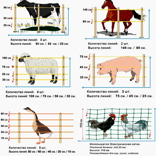 Как сделать электроизгородь для овец, свиней и КРС своими руками