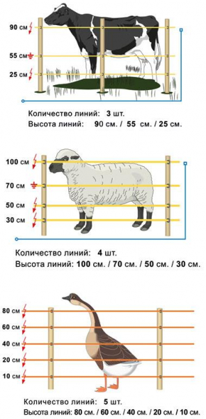 Электронный забор для собак: как сделать электропастуха своими руками